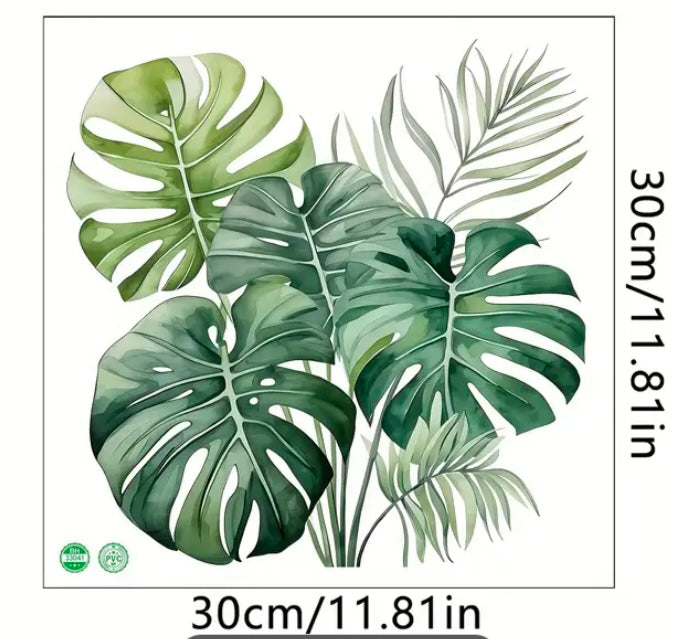 monstera deliciosa