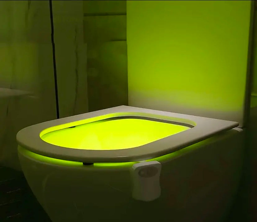 Toilet night light