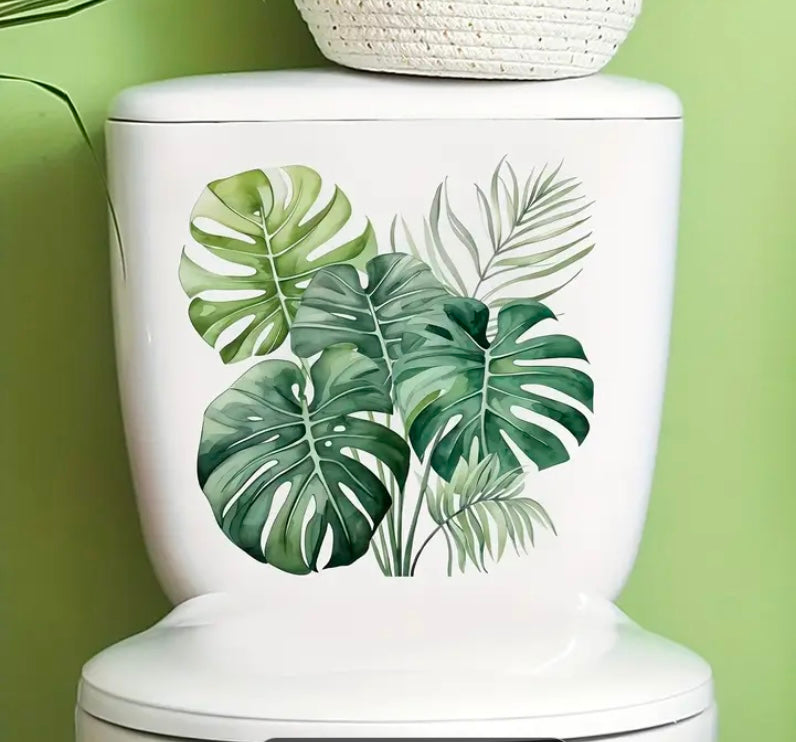 monstera deliciosa