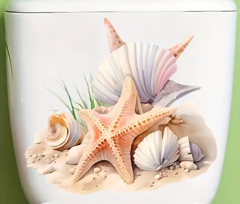 Starfish and shells