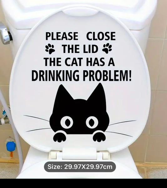 Cat- drinking problem